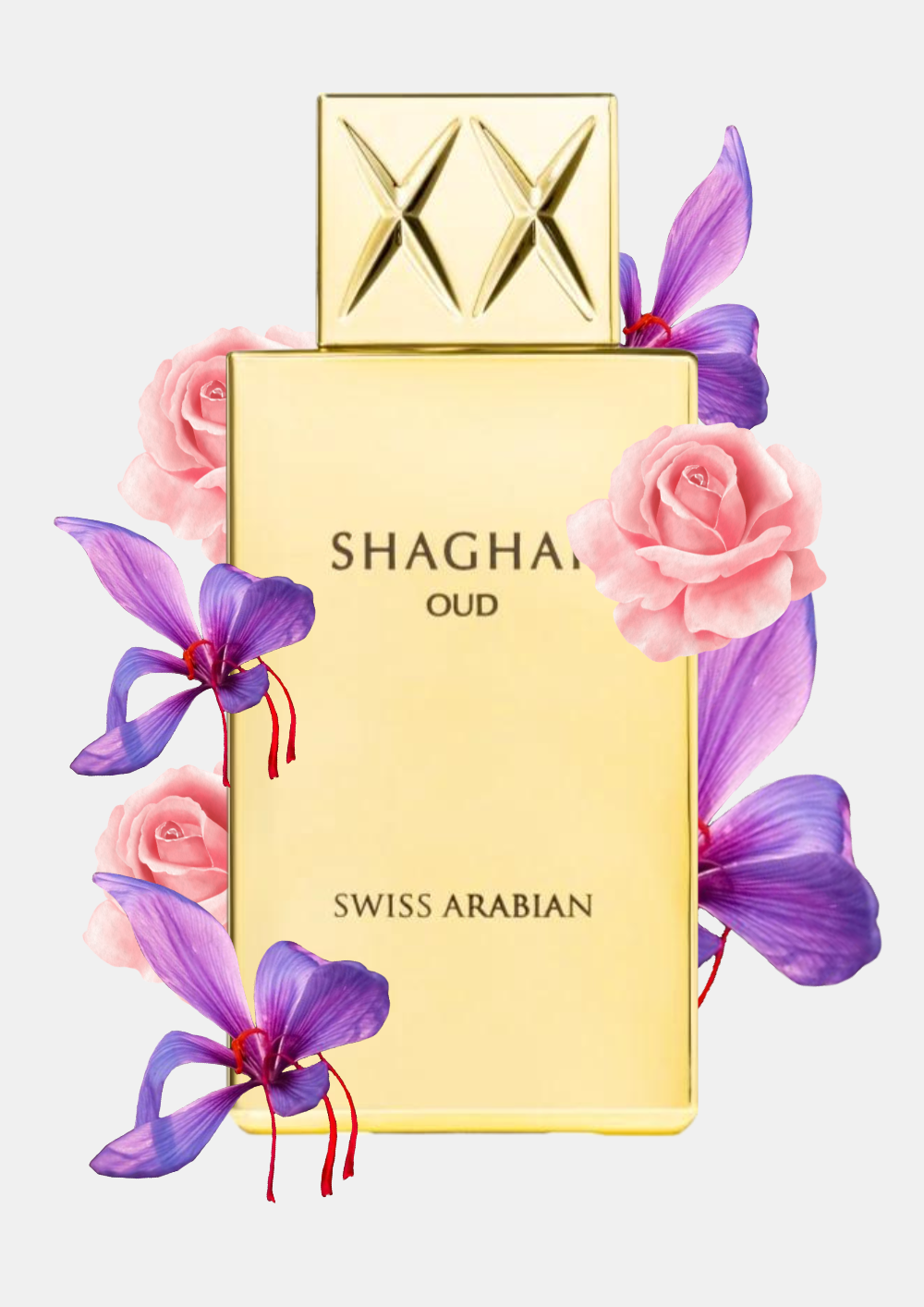 Shaghaf Oud